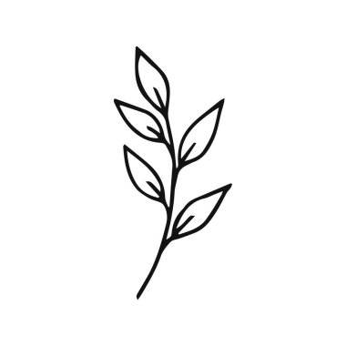 El çizimi bitkiler. Çiçek al ve element bırak. Beyaz arkaplanda çizgi sanatı biçimi izole.