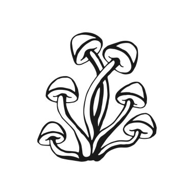 El çizimi mantar ana hatları. Beyaz arkaplanda çizgi sanatı biçimi izole.