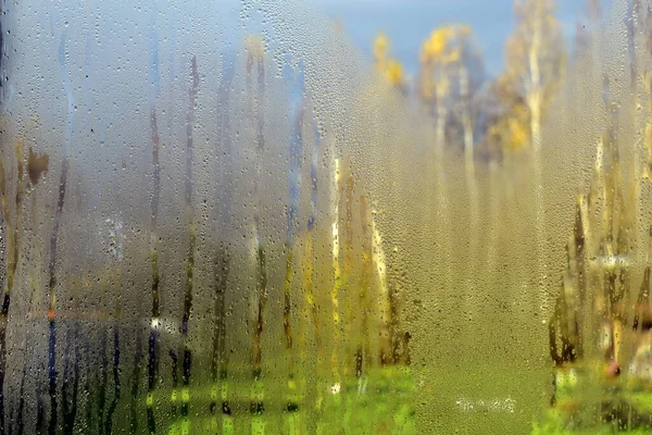 Droppar Fönsterglas Trädgård Bakgrund — Stockfoto