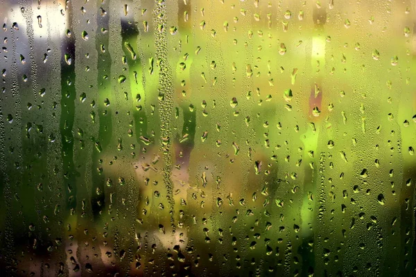 Drops Window Glass Garden Background — Stock Photo, Image