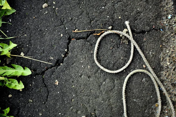 Seil Auf Asphalt Und Grasblättern — Stockfoto