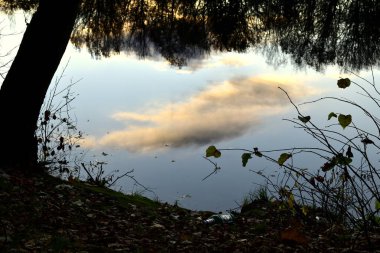 Sudaki bir bulutun yansıması ve gölün kıyısındaki terk edilmiş bir şişe.