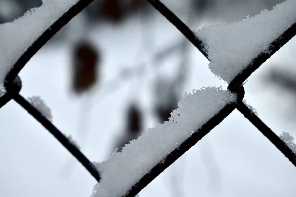 Schnee Auf Einem Drahtzaun — Stockfoto