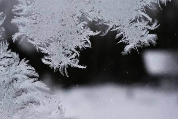 Eismuster Auf Fensterglas — Stockfoto