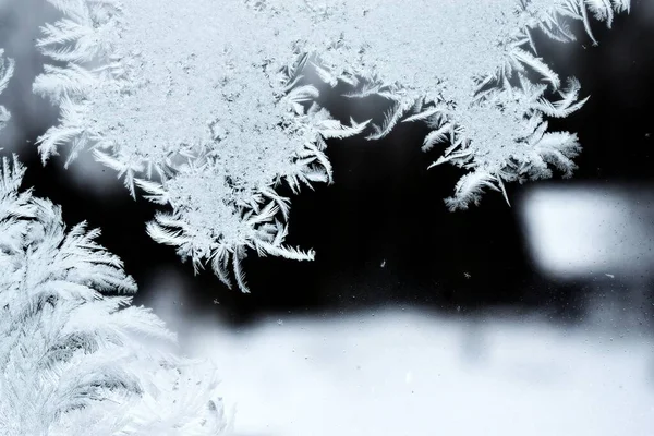 Eismuster Auf Fensterglas — Stockfoto