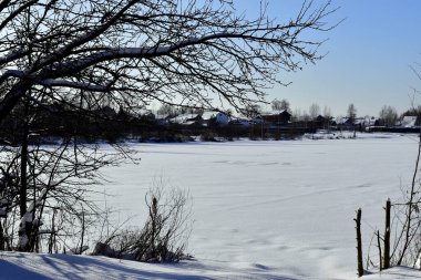 Donmuş, karla kaplı bir göletin yanında ağaç dalları