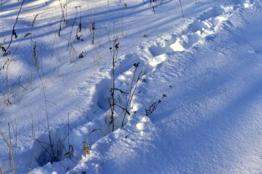 Yağan karda ayak izleri.
