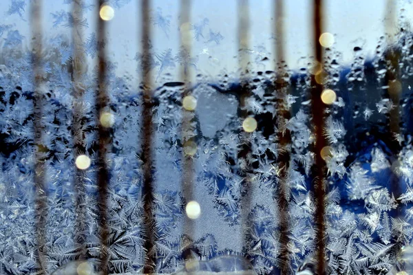 窓ガラスの氷のパターン — ストック写真