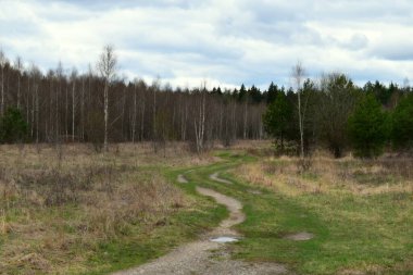 Bulutlu havada dolambaçlı toprak yol