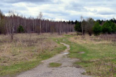Bulutlu havada dolambaçlı toprak yol