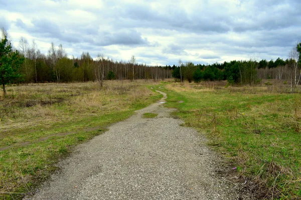Bulutlu havada dolambaçlı toprak yol
