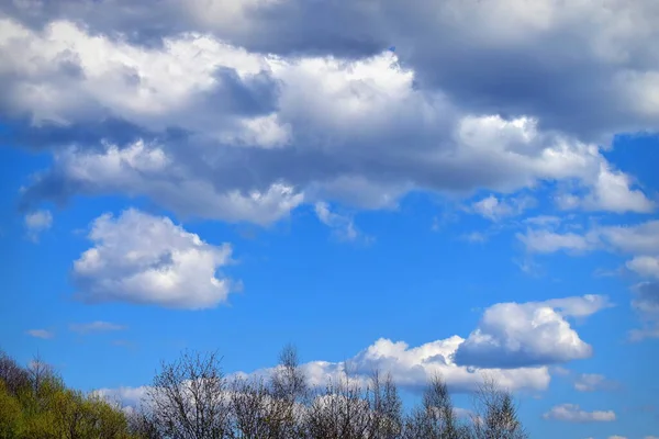 Nuvens Fofas Sobre Galhos Árvores — Fotografia de Stock