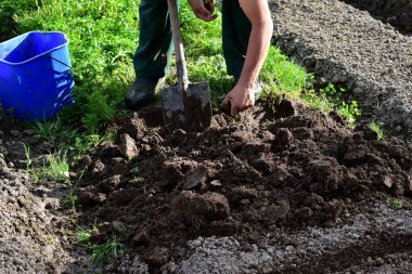 Bahçedeki toprağı gevşetiyorum.