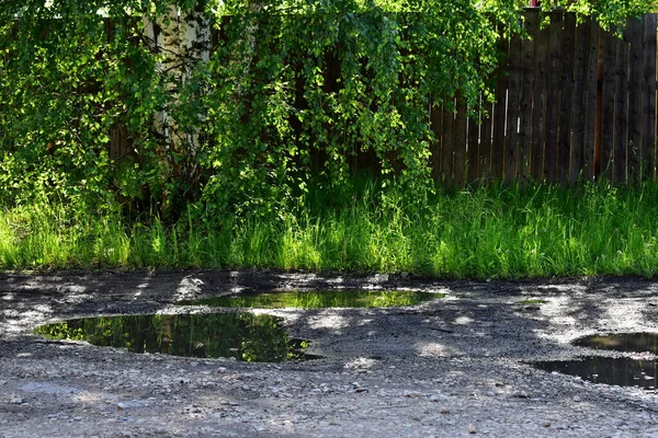 Yeşillik köy yolunun kenarında.