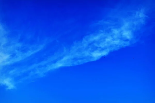 Nuages Oiseaux Dans Ciel Bleu — Photo