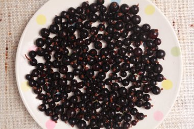 bir kase içinde siyah kuş üzümü