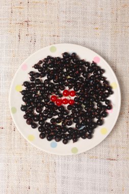 Bir kase içinde siyah ve kırmızı kuş üzümü