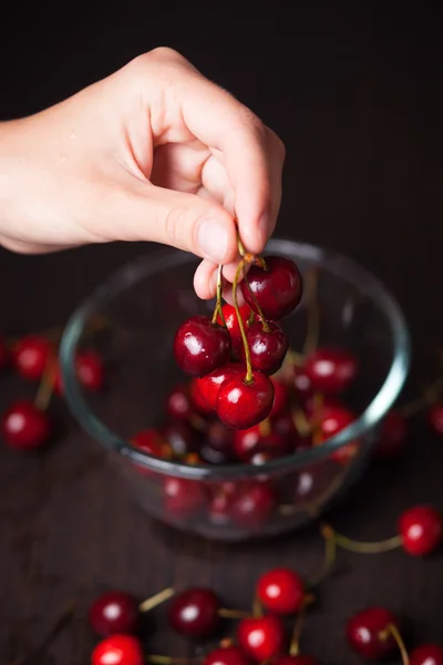 Fresh cherries in woman hands — Stock Photo, Image