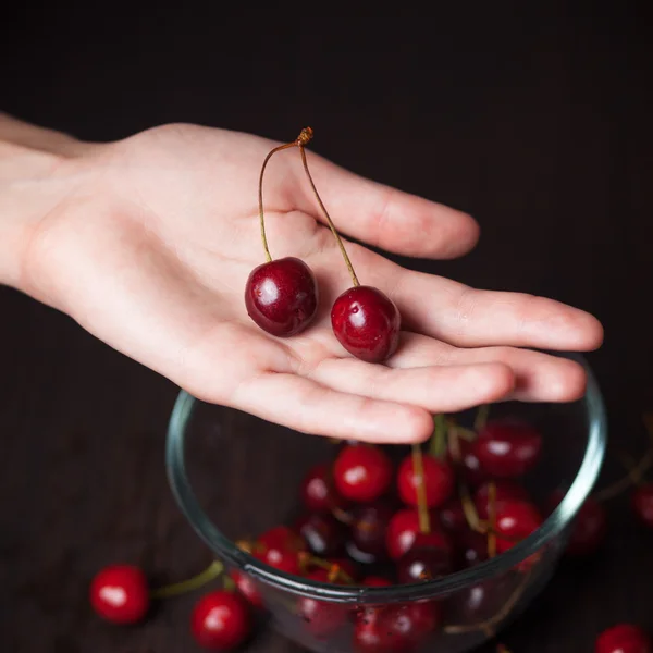 Ciliegie fresche nelle mani della donna — Foto Stock