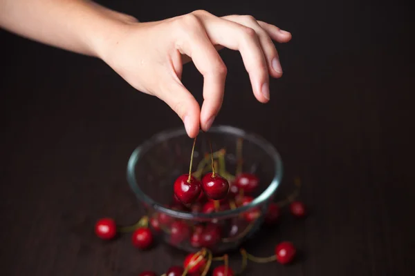 Cerezas frescas en manos de mujer — Foto de Stock