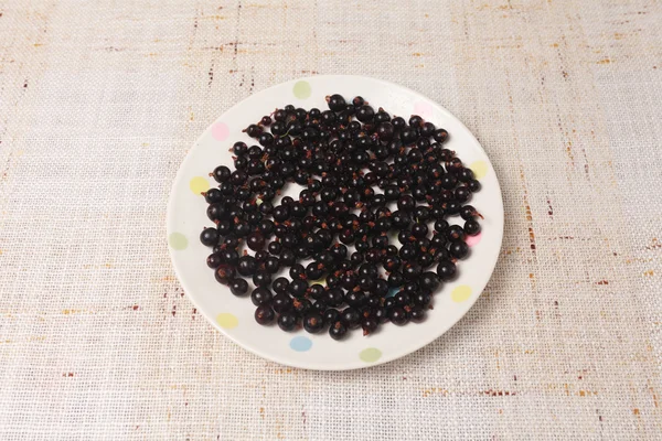 Black currants in a bowl — Stock Photo, Image