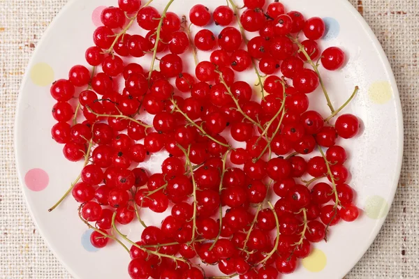 Red currants in a bowl — Stock Photo, Image