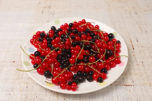 Mixed black adn red currants in a bowl — Stock Photo, Image