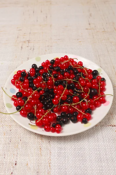 Mixed black adn red currants in a bowl — Stock Photo, Image