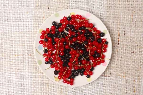 Mixed black adn red currants in a bowl — Stock Photo, Image