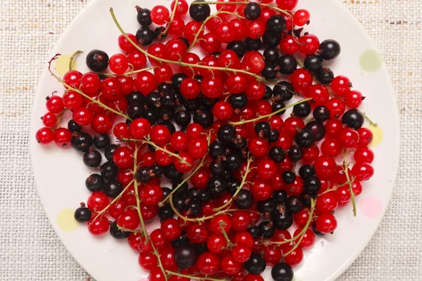 Mixed black adn red currants in a bowl — Stock Photo, Image
