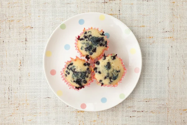 Muffins caseiros de mirtilo em suporte de cupcake de papel — Fotografia de Stock