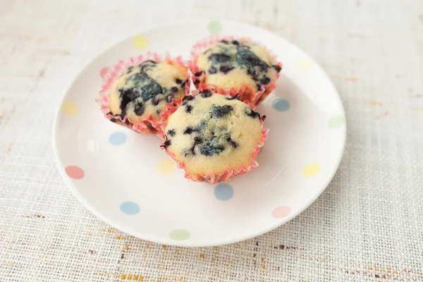 Muffins caseiros de mirtilo em suporte de cupcake de papel — Fotografia de Stock