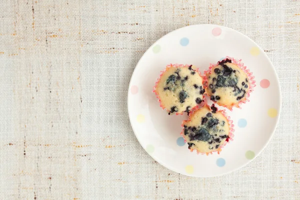 Muffins caseiros de mirtilo em suporte de cupcake de papel — Fotografia de Stock