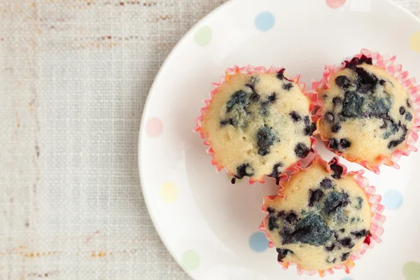 Homemade blueberry muffins in paper cupcake holder — Stock Photo, Image