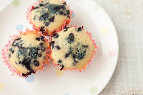 Homemade blueberry muffins in paper cupcake holder — Stock Photo, Image