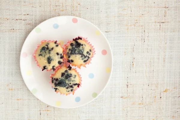 Zelfgemaakte blueberry muffins in cupcake rolhouder — Stockfoto