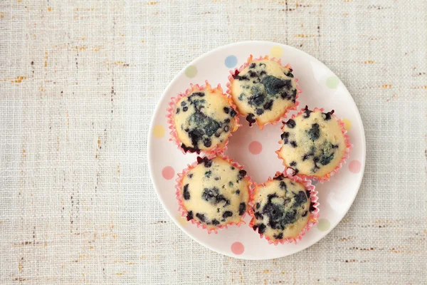 Muffins caseiros de mirtilo em suporte de cupcake de papel — Fotografia de Stock
