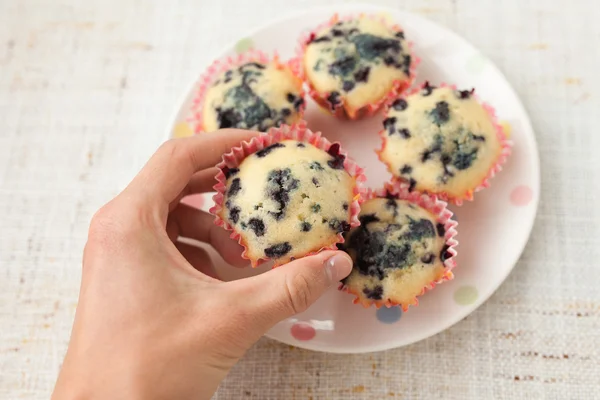 Mão segurando muffin de mirtilo — Fotografia de Stock