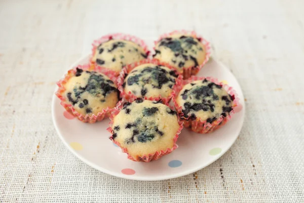 Muffins caseros de arándanos en soporte de cupcake de papel — Foto de Stock