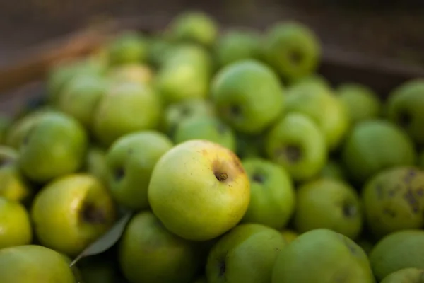 Green apples in box — Stock Photo, Image