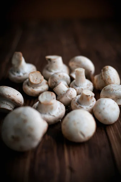 Witte champignons op houten tafel — Stockfoto