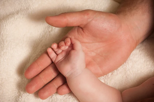 Baby hand gently holding parents finger — Stock Photo, Image