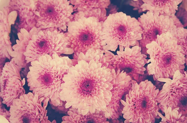 一束粉红色的花 老式的 — 图库照片