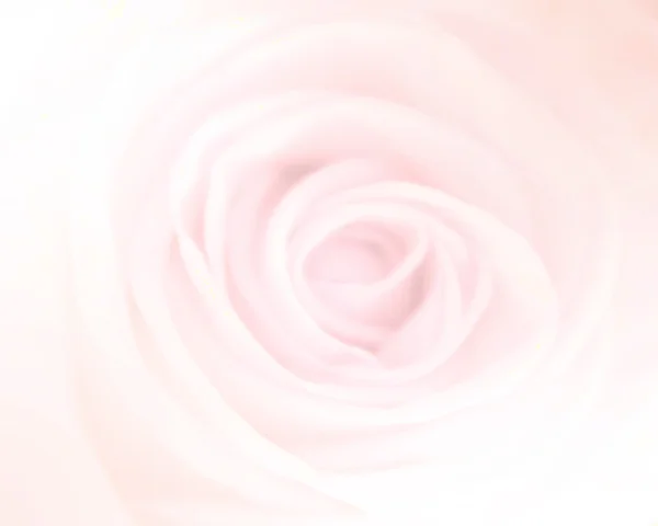 Rosas en color suave y estilo borroso para el fondo — Foto de Stock