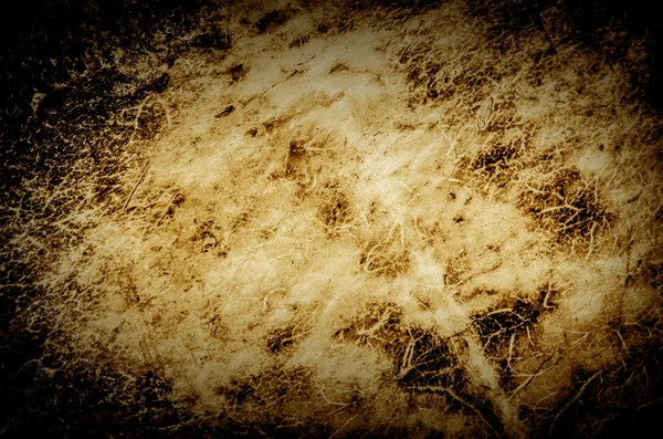 Grunge background made from drum head