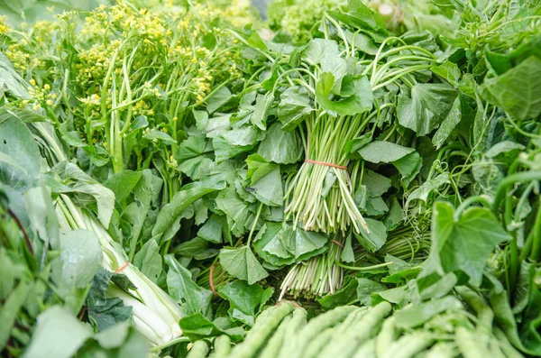 Close up of various raw green vegetables — Stock Photo, Image