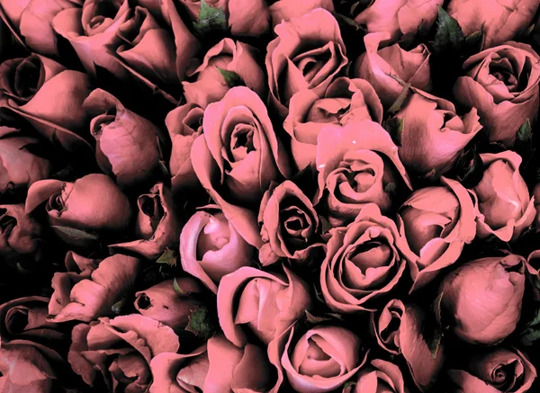 束玫瑰 — 图库照片