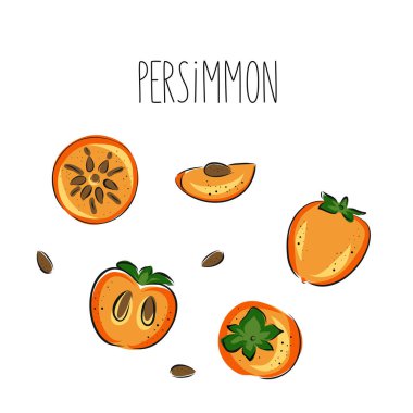 Taze hurma. Farklı meyvelerin toplanması, yarısı ve yarısı beyaz arka planda izole edilmiş. Düz elle çizilmiş vektör çizimi. Çizim ve karalama stili