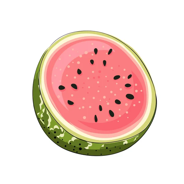 Slice Striped Red Watermelon Black Seeds Sketch Style Vector Illustration — Stock Vector