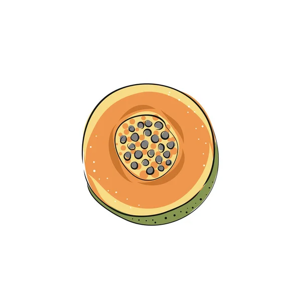 Papaia Conjunto Mamão Desenhado Mão Comida Orgânica Fresca Ilustração Vetorial —  Vetores de Stock